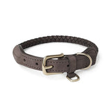 Braided Leather Pet Leash and Collar Set