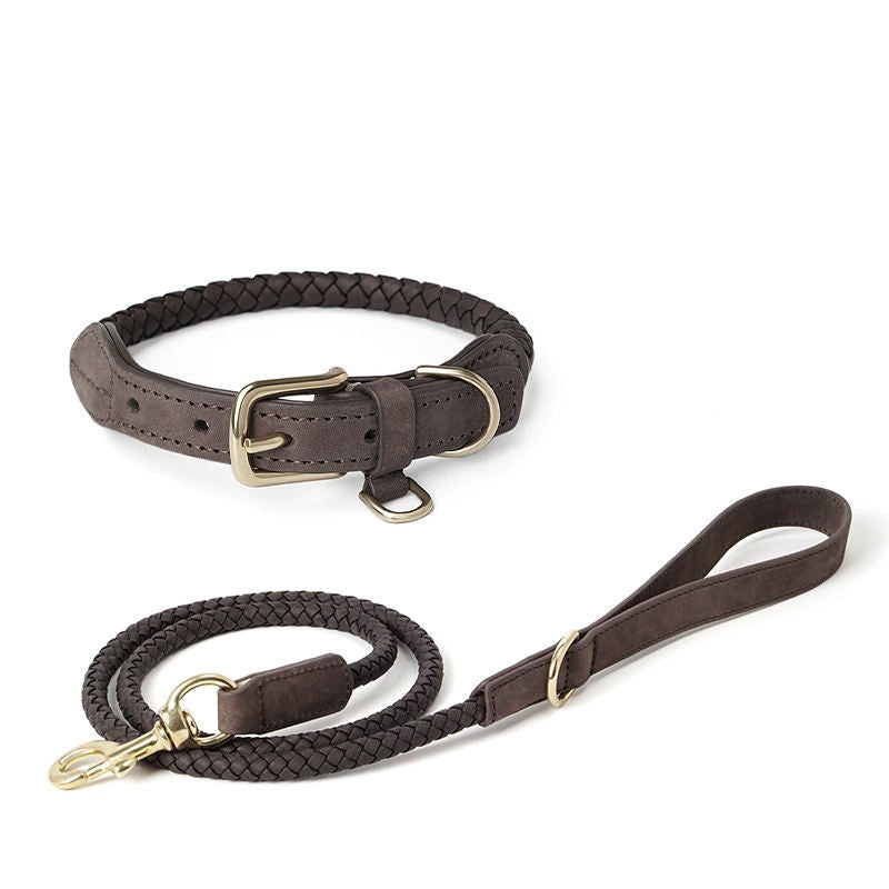 Braided Leather Pet Leash and Collar Set