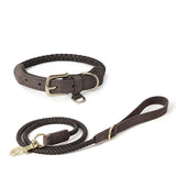 Braided Leather Pet Leash and Collar Set