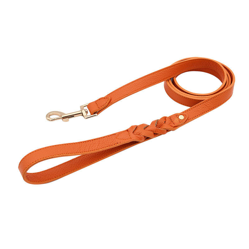 High-Quality Hand-Woven Dog Leash — Suitable for Training Large Dogs