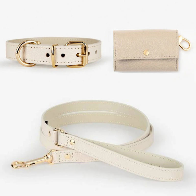 Durable Leather Leash Set for Cats and Dogs