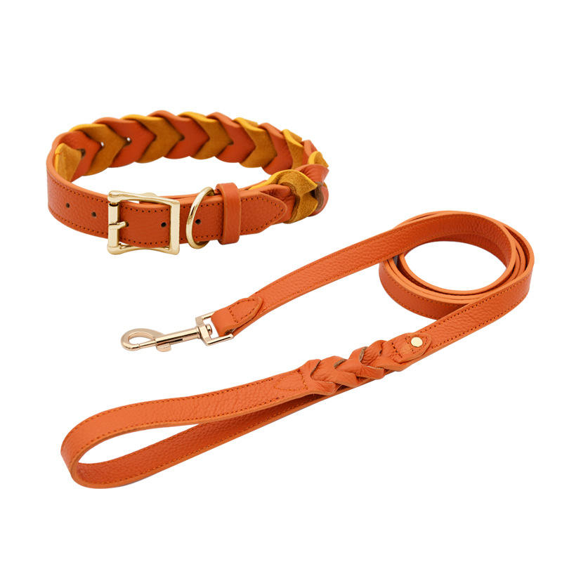 High-Quality Hand-Woven Dog Leash — Suitable for Training Large Dogs